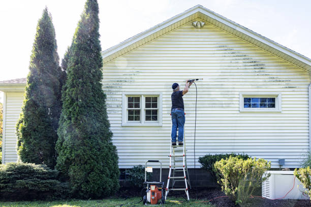 Best Commercial Building Pressure Washing  in Harrington, DE