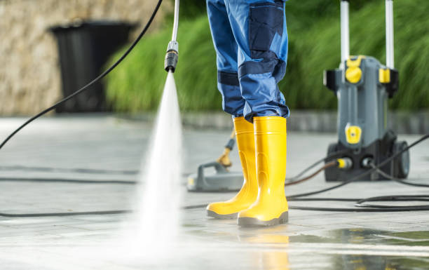 Best Best Pressure Washing Companies  in Harrington, DE