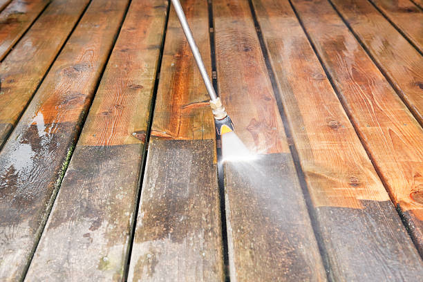 Best Roof Power Washing Services  in Harrington, DE